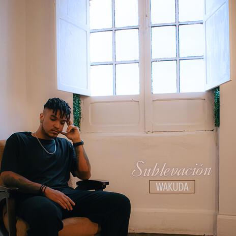 Sublevación cover art