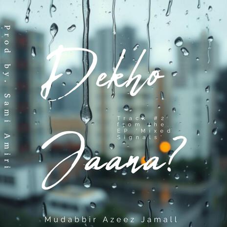 Dekho Jaana? ft. Sami Amiri cover art