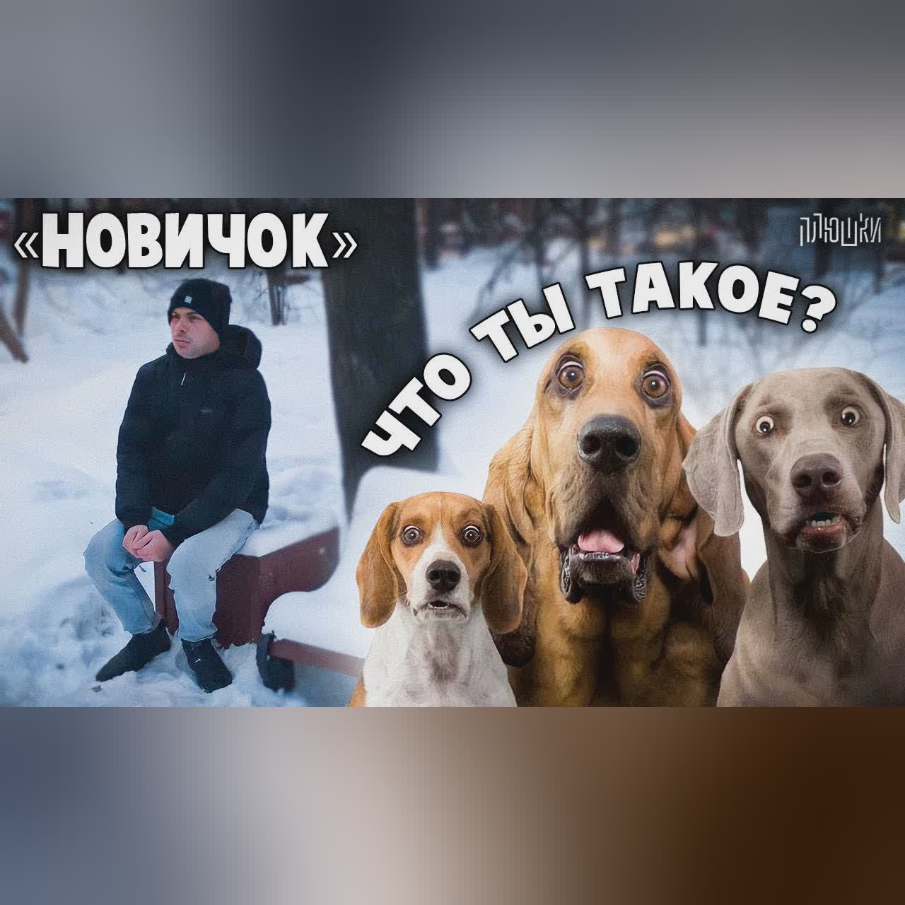 Притворился НОВИЧКОМ на УЛИЦЕ cover art