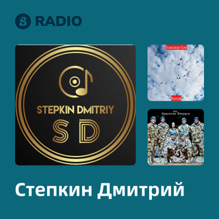 Степкин Дмитрий Radio