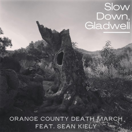 Slow Down, Gladwell ft. Sean Kiely cover art