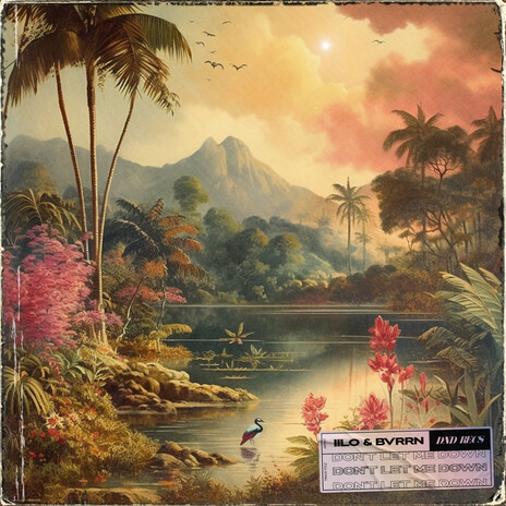 Don't Let Me Down ft. BVRRN cover art