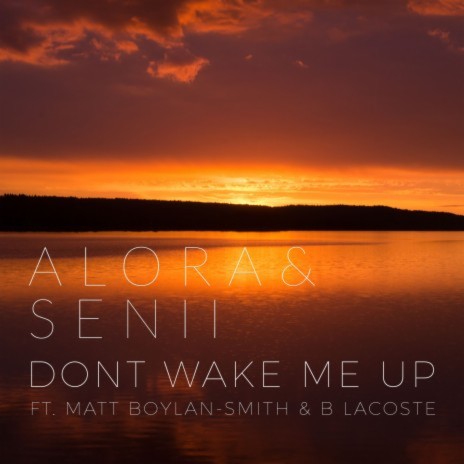 Don't Wake Me Up (feat. Matt Boylan-Smith & B. Lacoste) cover art
