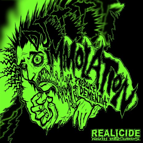 THE SHIT PUNX HATE (REALICIDE RMX) cover art