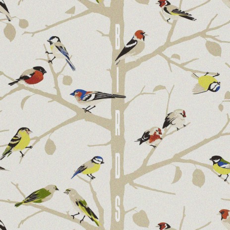 Birds cover art