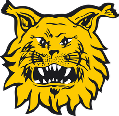 live-team-icon