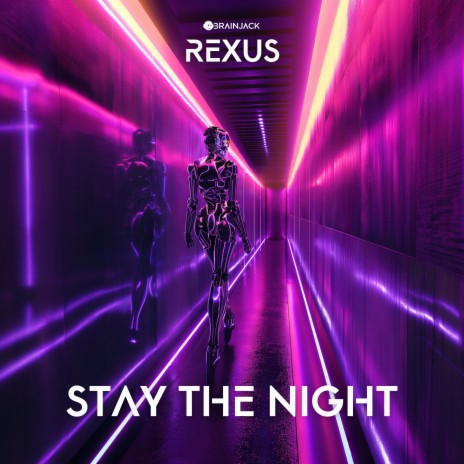 Stay The Night cover art