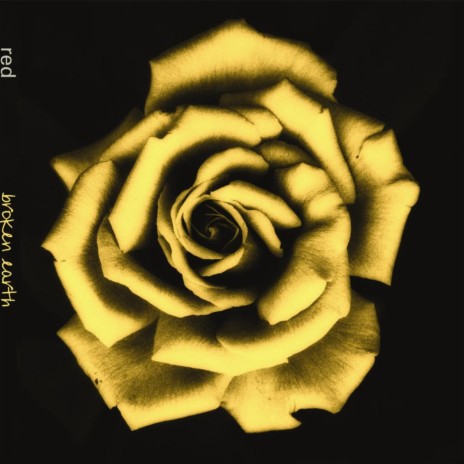 Never Okay cover art
