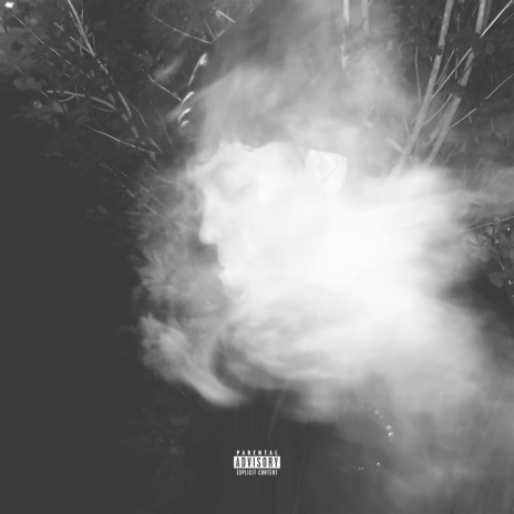 Off cover art