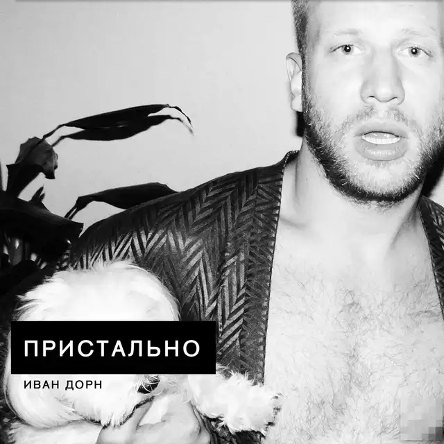 Пристально cover art