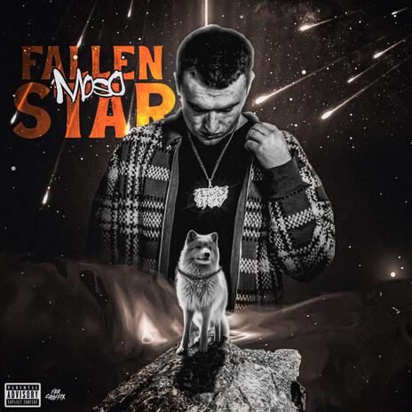 Fallen Star cover art