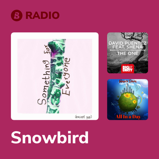 Snowbird Radio