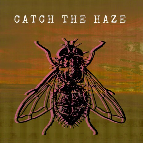 Catch The Haze cover art