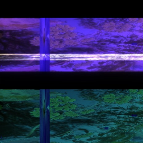 Z_int