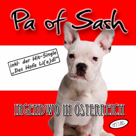 Hansi Wahnsinn cover art