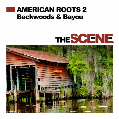 Dem Boxcar Blues cover art