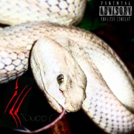 S1C-IN-INN cover art