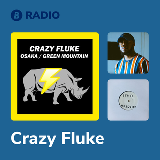 Crazy Fluke Radio