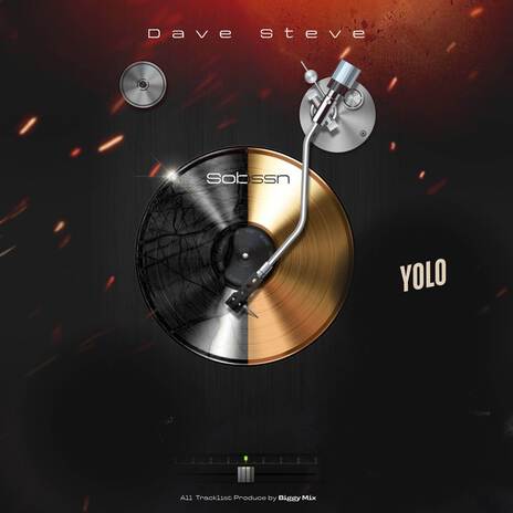 Yolo cover art
