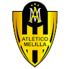 live-team-icon