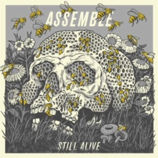 Still Alive