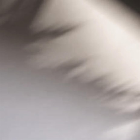 identity cover art