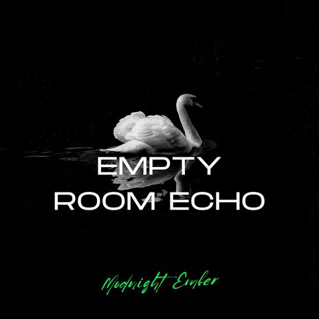 Empty Room Echo