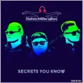 Secrets You Know (Extended Version) ft. Renè Miller & qBon