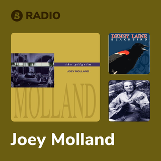 Joey Molland Radio