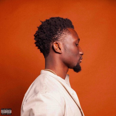 Up Ya Price cover art