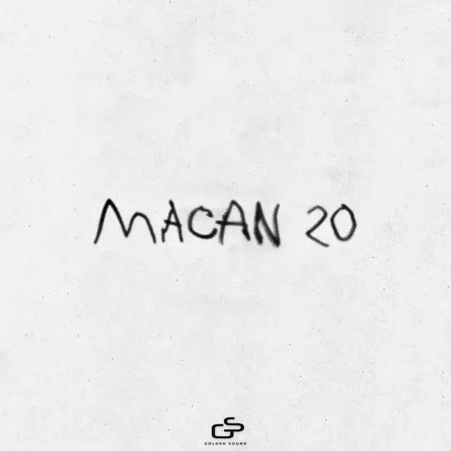 20 cover art