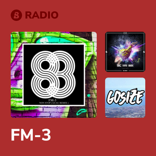 FM-3 Radio
