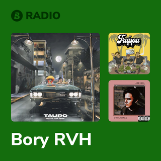 Bory RVH Radio