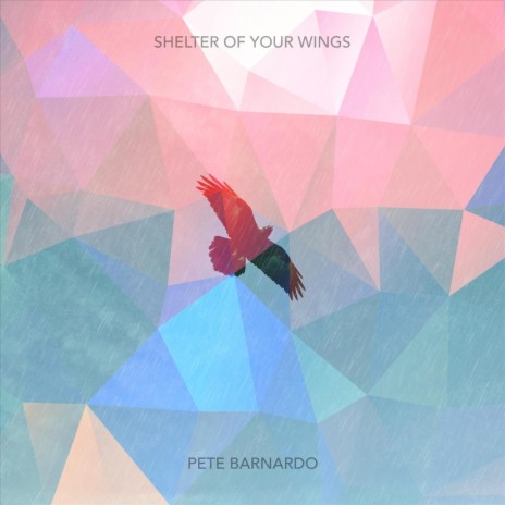Shelter of Your Wings cover art
