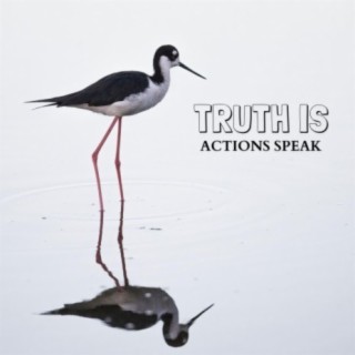 Truth Is