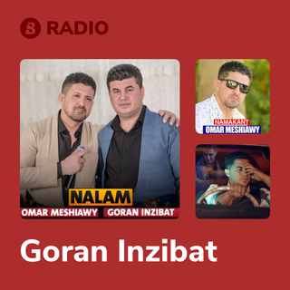 Goran Inzibat Radio