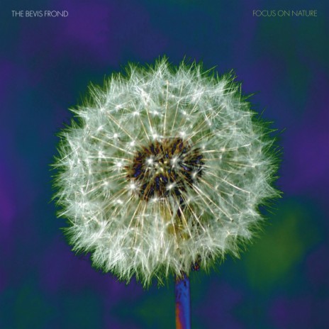 The Hug cover art