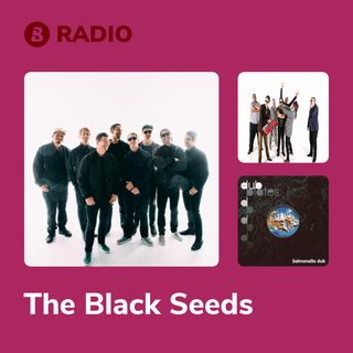 The Black Seeds Radio