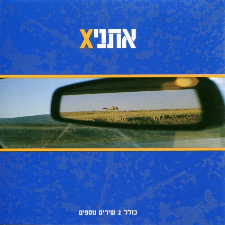 פרחים