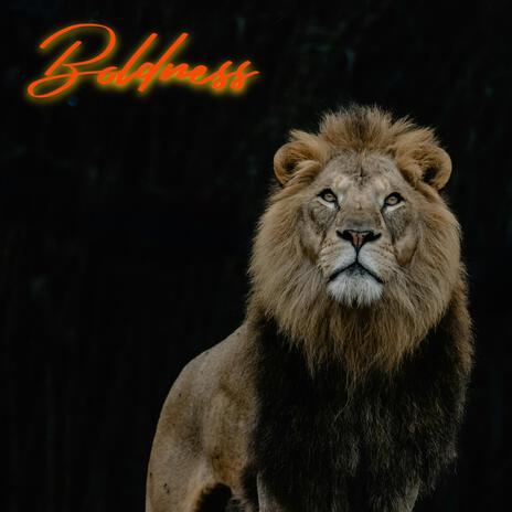 Boldness