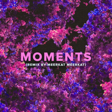 Moments (Meerkat Meerkat Remix) cover art
