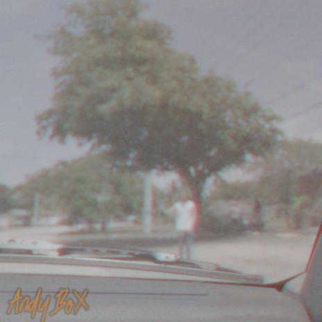 Loner On The Run cover art