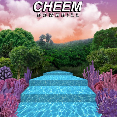 Root cover art