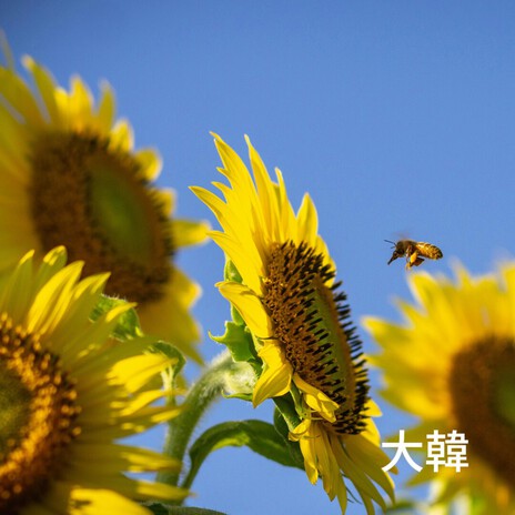 Spend Time With You ft. Daehan cover art