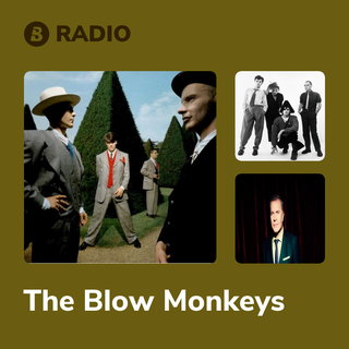 The Blow Monkeys Radio