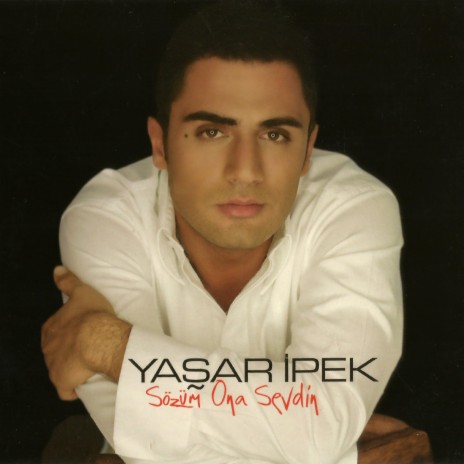 Sözüm Ona Sevdin (Zalim) cover art