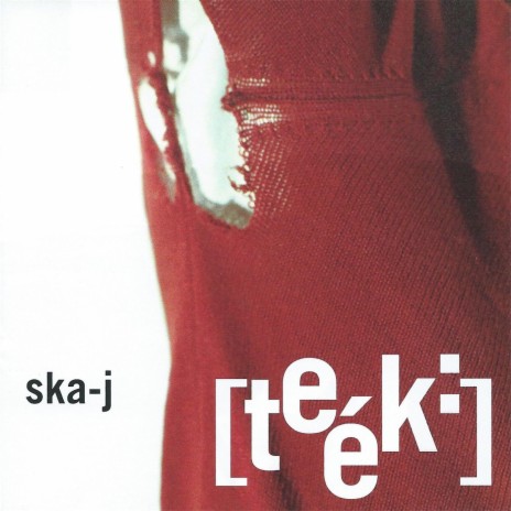 Skane cover art