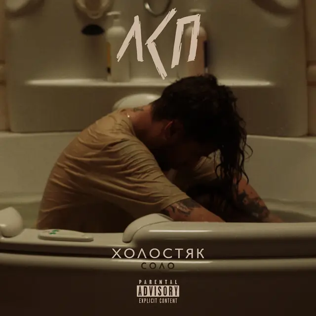 Холостяк cover art