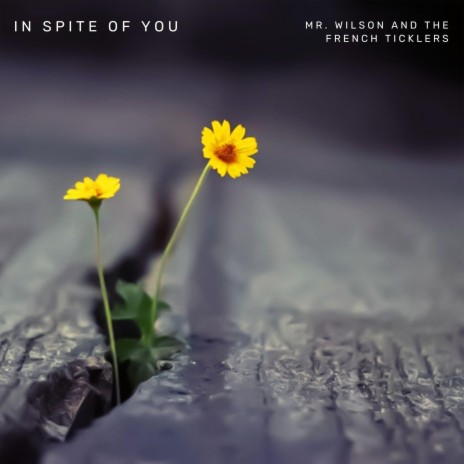 In Spite Of You