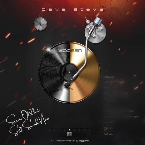 YOLO cover art